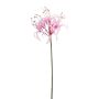 Nerine spray lt pink 63cm