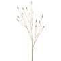 Sanguisorba spray gold 102cm