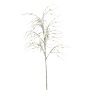 Stipa spray green 110cm