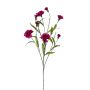 Dianthus mini spray lt purple 70cm