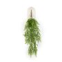 Adianthum hanging bush green 80cm