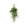 Ivy hanging bush green/white 60cm