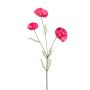 Cosmos spray dk pink 80cm