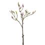 Magnolia spary pink 90cm