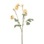 Ranunculus mini spray beige 65cm