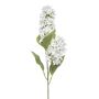 Hydrangea paniculata spray white 76cm