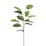 Monstera monkey spray green 82cm