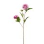 Dahlia mini spray purple 68cm