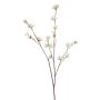 Hamamelis spray white 110cm