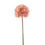 Allium spray pink 63cm