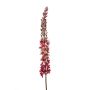 Eremurus spray burgundy 109cm
