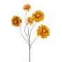 Zinnia spray dk yellow 88cm