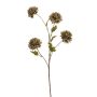 Chrysantum spray green 68cm