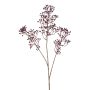 Rosehip mini spray x3 purple 95cm