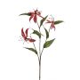 Gloriosa spray burgundy 80cm