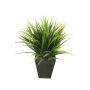 Grass bush green in zinc pot 30cm