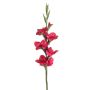 Gladiolus spray fuchsia 88cm