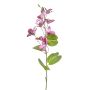 Bauhinia spray pink 85cm