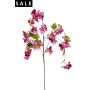 Bougainvillea hanging spray lt purple 120cm