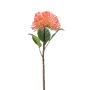 Sedum spray peach 43cm