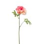 Ranunculus spray tt pink 61cm