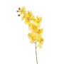 Phalaenopsis spray yellow 95cm