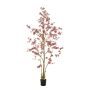 Tropaeolum plant burgundy 210cm (knock down packing)