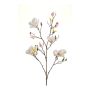 Magnolia spray cream/pink 105cm