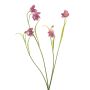 Fritillaria spray beauty 52cm