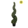 Boxwood spiral UV 120cm