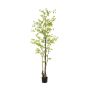 Tropaeolum plant green 210cm (knock down packing)