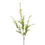 Verbena spray lt yellow 83cm