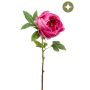 Peony spray beauty 63cm