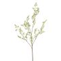 Achillea spray green 100cm