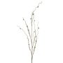 Salix spray green 120cm