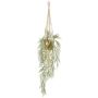 Adianthum hanging in pearlgold pot 130cm