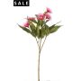 Eucalyptus flower spray beauty 62cm