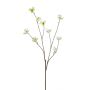 Helleborus spray white 110cm