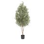 Olive tree pyramid 170cm