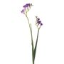 Freesia spray purple 80cm