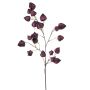 Physalis spray x4 purple 90cm