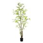 Tropaeolum plant green 270cm (knock down packing)