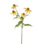 Rudbeckia spray yellow 73cm