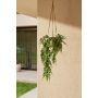 Adianthum hanging bush FR/UV 80cm