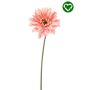 Gerbera spray REC pink 63cm