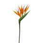 Strelitzia mini spray orange 65cm