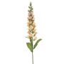 Digitalis spray lt yellow 97cm