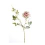 Rose dianna spray pink/cream 75cm