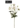 Ranunculus spray cream 65cm