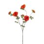 Ranunculus spray orange 78cm